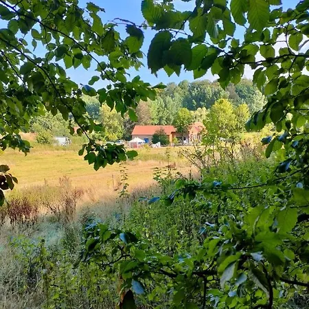 Homestay Chambre Spacieuse Et Tranquille *